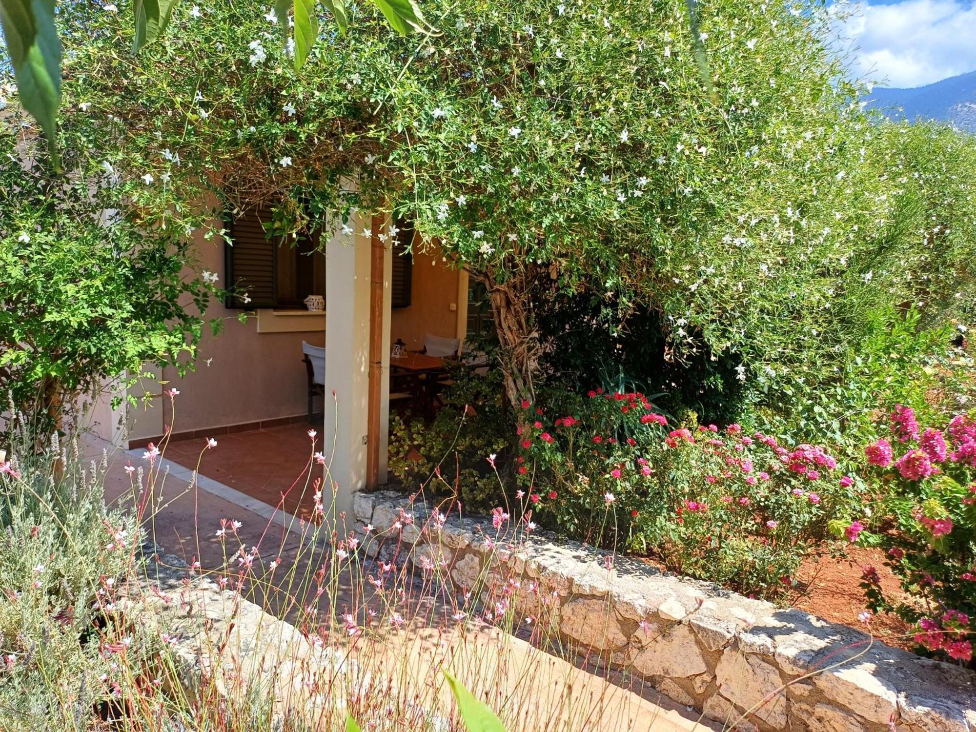 Korallis Villas Karavádhos المظهر الخارجي الصورة