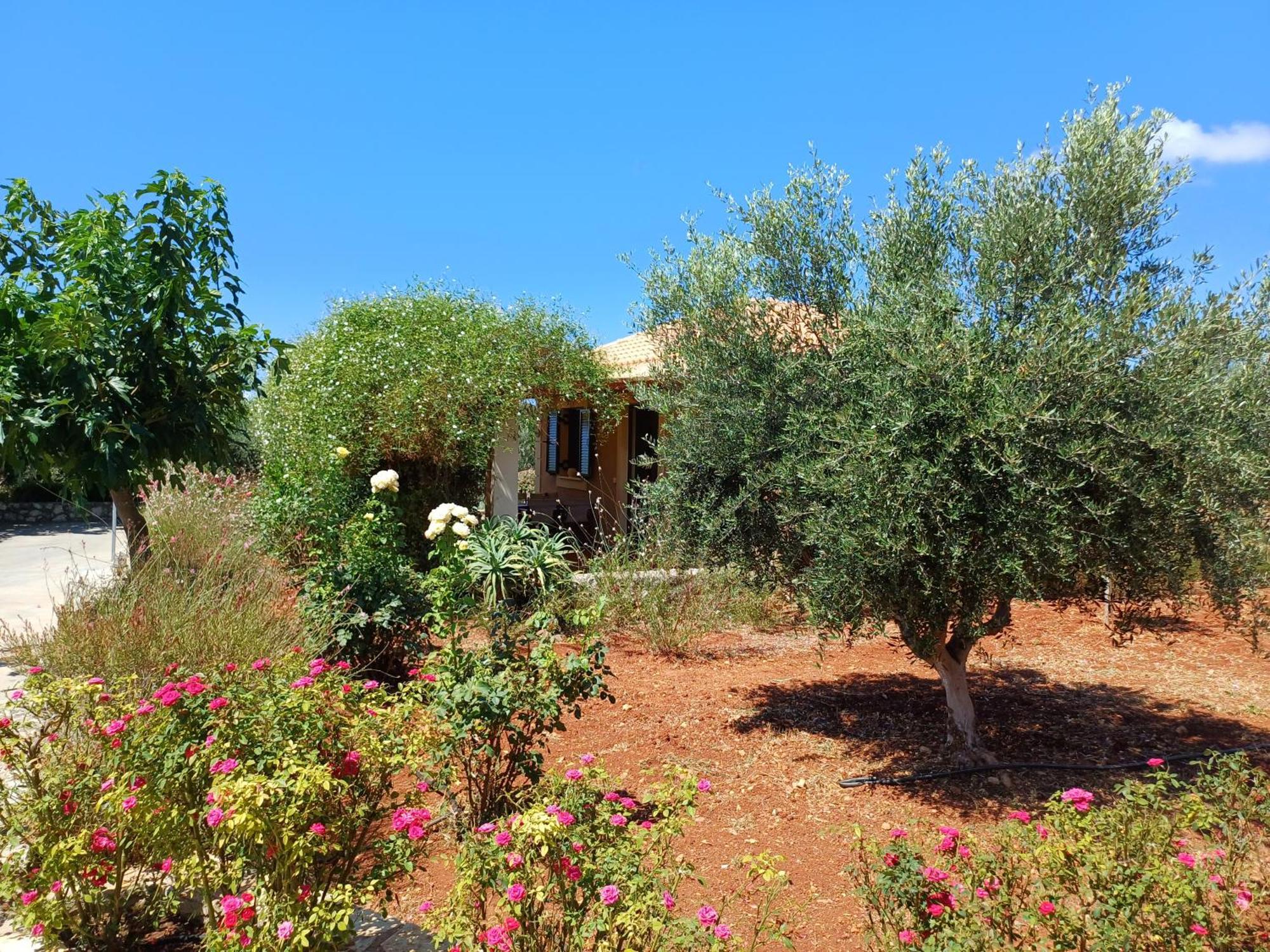 Korallis Villas Karavádhos المظهر الخارجي الصورة
