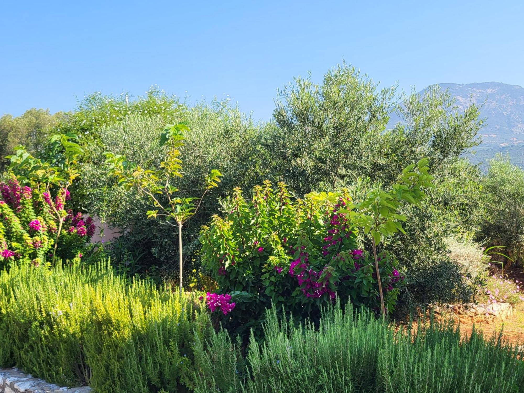 Korallis Villas Karavádhos المظهر الخارجي الصورة