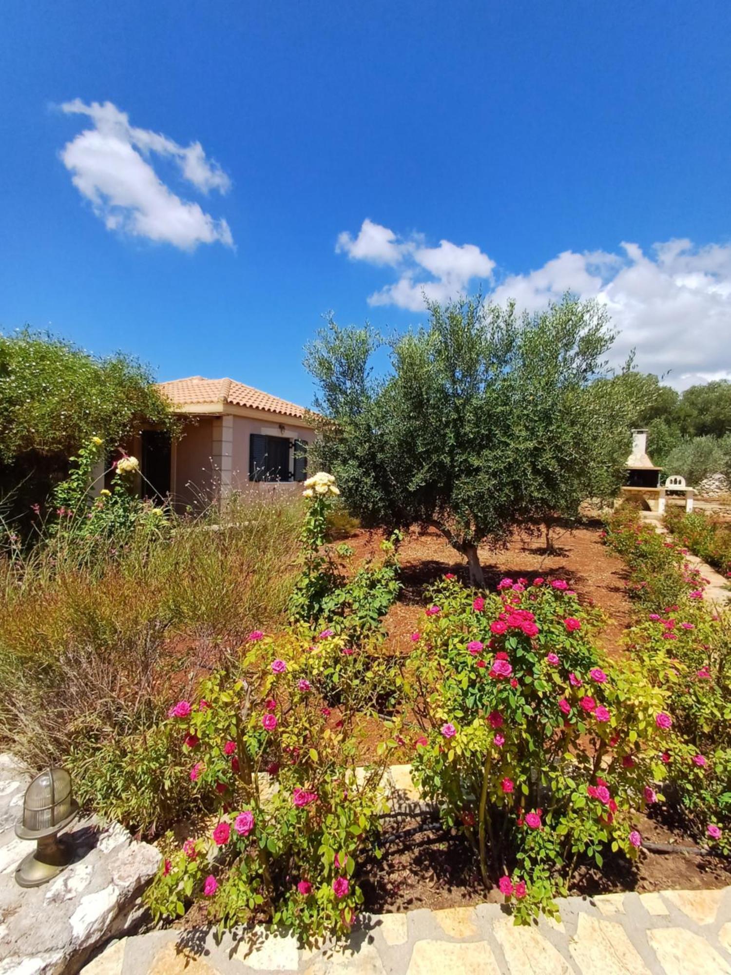 Korallis Villas Karavádhos المظهر الخارجي الصورة