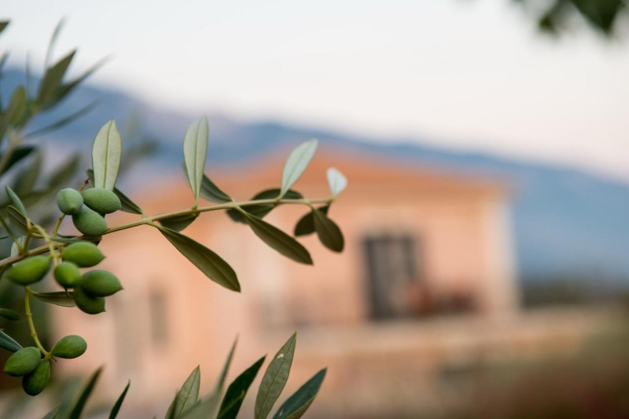 Korallis Villas Karavádhos المظهر الخارجي الصورة